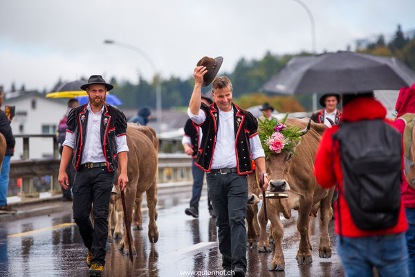 Alpabfahrt Schüpfheim Entlebuch 2025