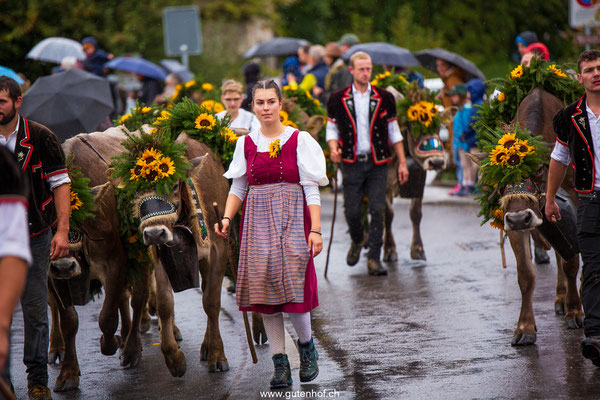 Alpabfahrt Schüpfheim Entlebuch 2025