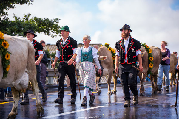 Alpabfahrt Schüpfheim Entlebuch 2025