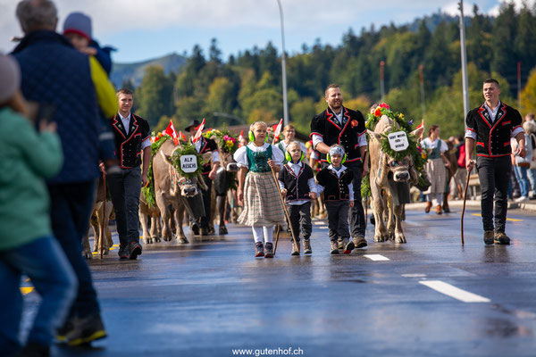 Alpabfahrt Schüpfheim Entlebuch 2025