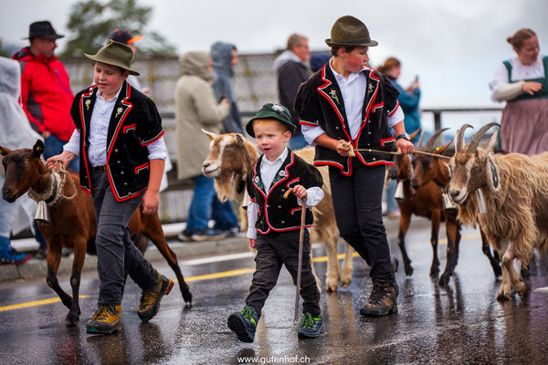 Alpabfahrt Schüpfheim Entlebuch 2025