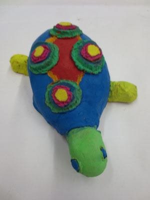 Schildkröten 5.Klasse