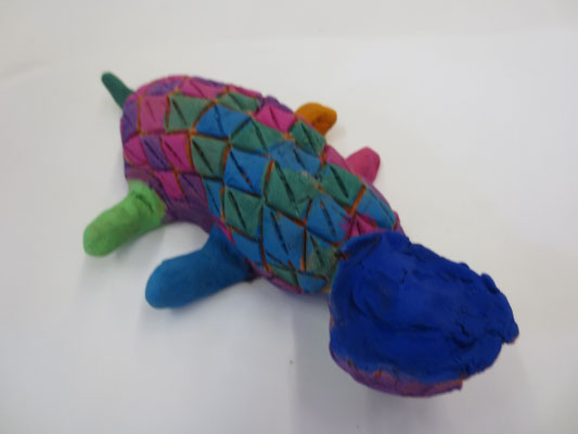 Schildkröten 5.Klasse