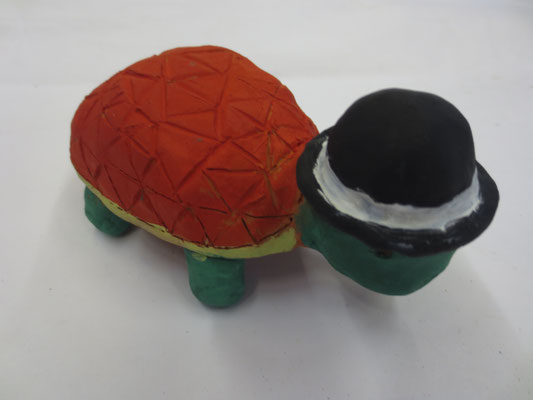 Schildkröten 5.Klasse