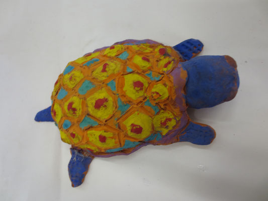 Schildkröten 5.Klasse