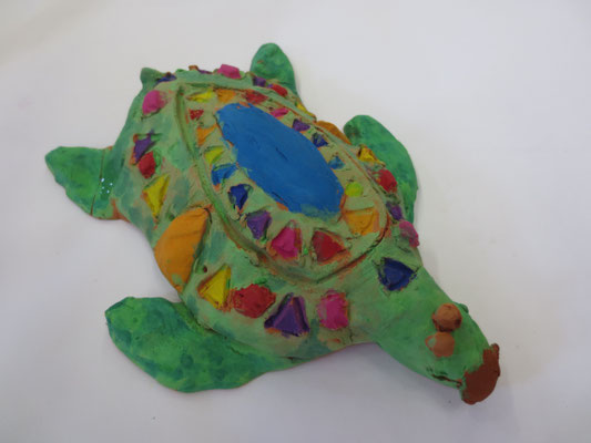Schildkröten 5.Klasse