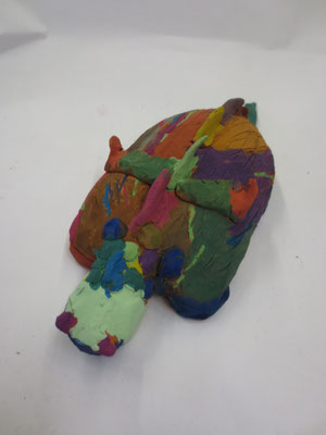 Schildkröten 5.Klasse