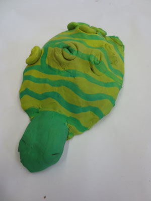 Schildkröten 5.Klasse