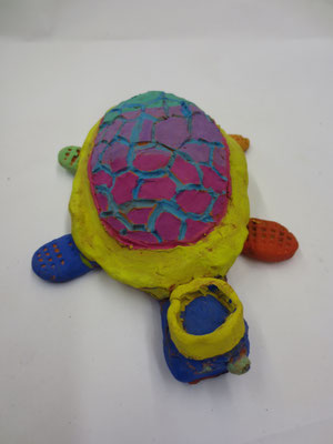 Schildkröten 5.Klasse
