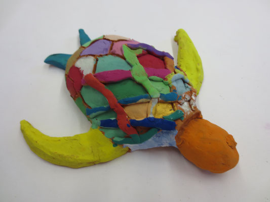 Schildkröten 5.Klasse