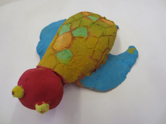 Schildkröten 5.Klasse