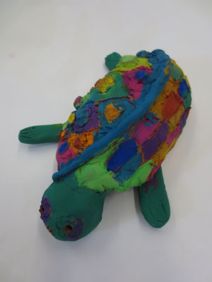 Schildkröten 5.Klasse