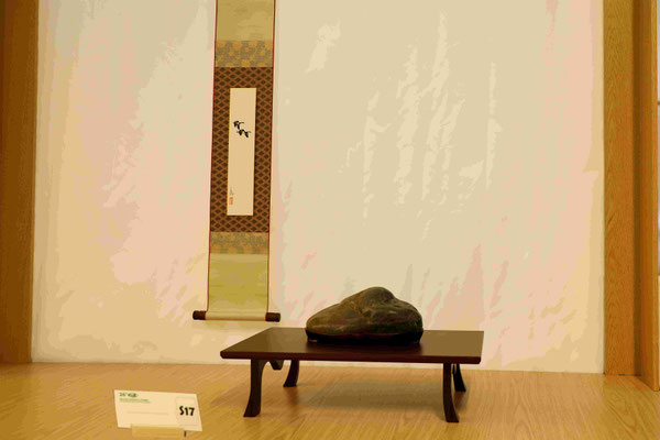 S17 - Scuola Suiseki Groane