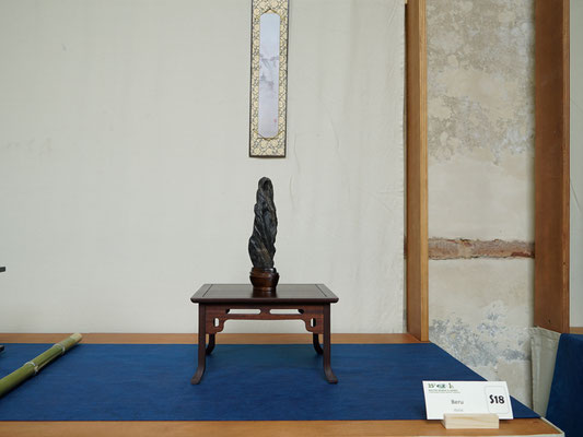S18 - Beru (Italia) - Bonsai Club Amici del Verde