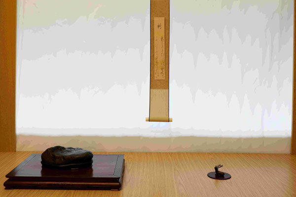 S3 Kamuikotan (Giappone) - Amatori Bonsai e Suiseki Genova