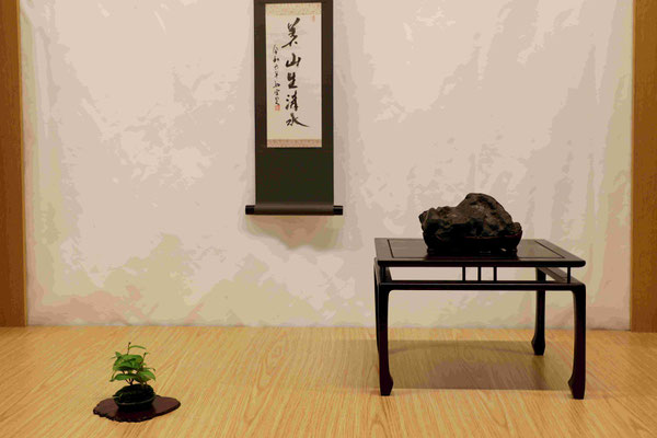 S4 Kotaro (Giappone) - Amatori Bonsai e Suiseki Genova