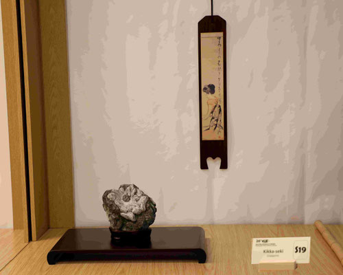 S19 Kikka-Seki (Giappone) - Associazione Arte e Cultura Bergamo Bonsai