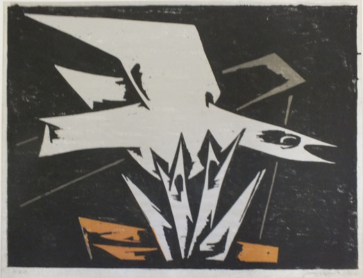 Nestflug  1967  60 x 44