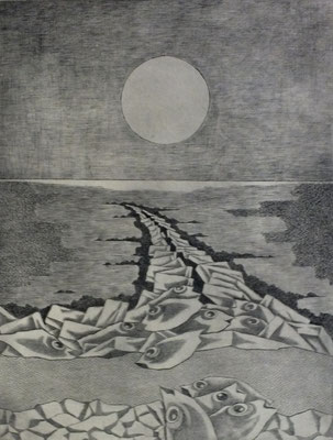Buhne bei Dagebüll  1977  30 x 39,5 ( Ätz )        ( 2 )