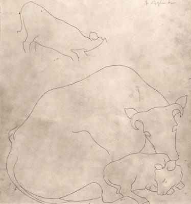 Kühe 1948   26 x 28  Sepia G.V. 49