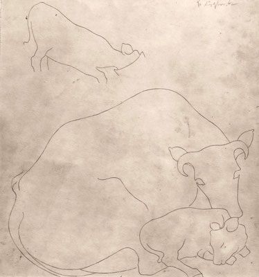 Kühe 1948   26 x 28  Sepia G.V. 49