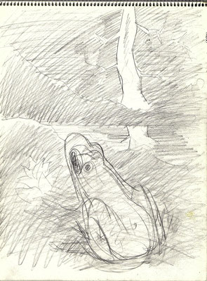 Blatt Nr. 5  1977  ( H )  Frosch  1983   5 - 6  