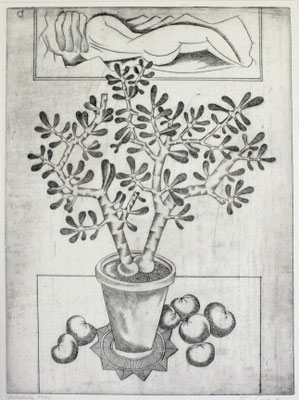 Topfpflanze  1980  29,5 x 39,5              ( 6 )