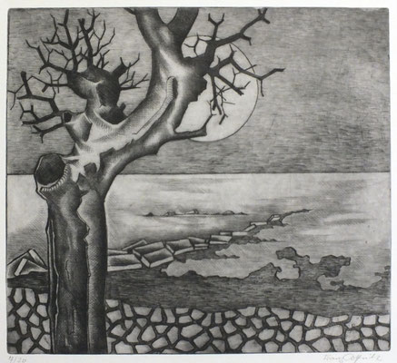 Kleine Landschaft  1976  32,5 x 29,5         ( 8 )