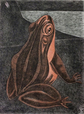 Frosch  1979    29,5 x 39  R.G.V. 50