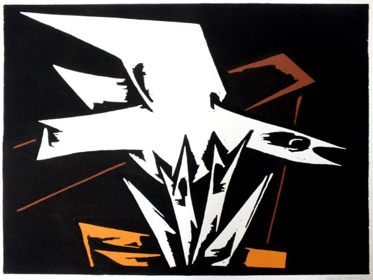 Nestflug  1967  60 x 44