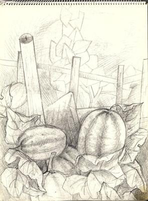 Blatt Nr. 4  1973  ( Öl )  Hausgarten mit Kürbis  1979  8 - 4