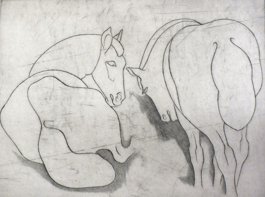 Pferde  1981  39,5 x 30          ( 3 )