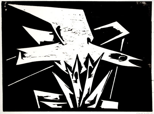 Nestflug  1967  60 x 44            Plattte vorhanden