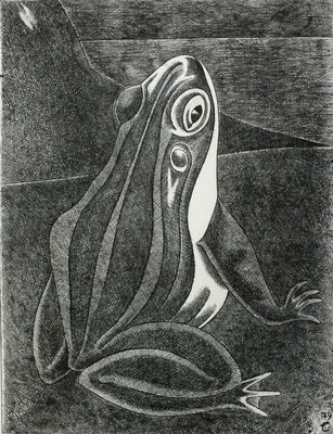Frosch  1979  29,5 x 39 ( Ätz )          ( 1 )