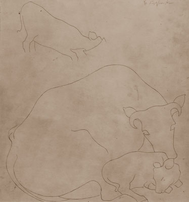Tier Studie 1948  25 x 27 ( Sepia Tinte )