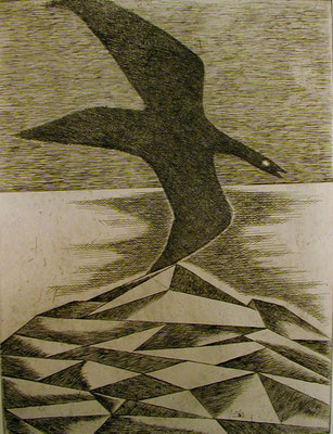 Vogel im Gebirge 1977  29,5 x 39,5 ( Ätz )        ( 4 )  