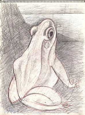 Blatt Nr. 4  1977  ( 2xR )  Frosch  1979  7 - 35,  Frosch  1979  RGV50