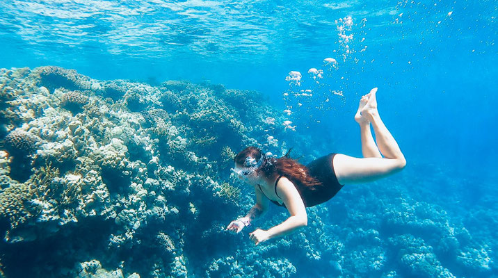 Snorkeling a ''El Fanar''