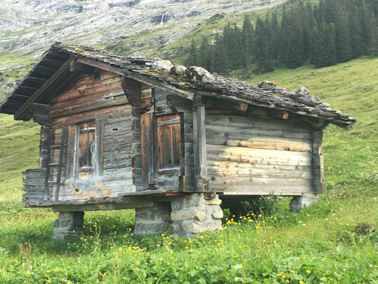 Hütte