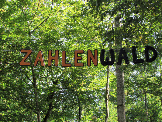 Am Eingang vom Zahlenwald im Gramschatzer Wald