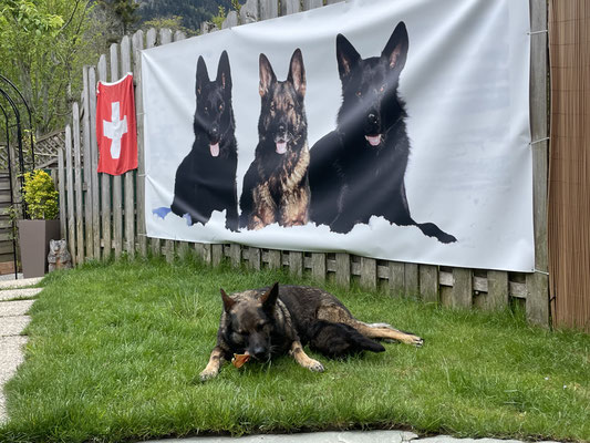 3,5 Wochen alt