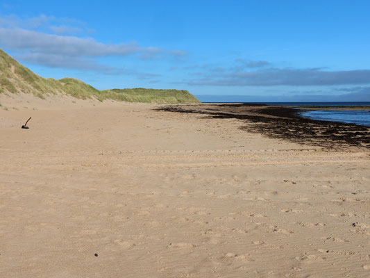 Sehenswürdigkeiten Rattray Head: Der Sandstrand der Rattray Head Bay ist traumhaft. Sanft senkt sich der Strand in die Nordsee.