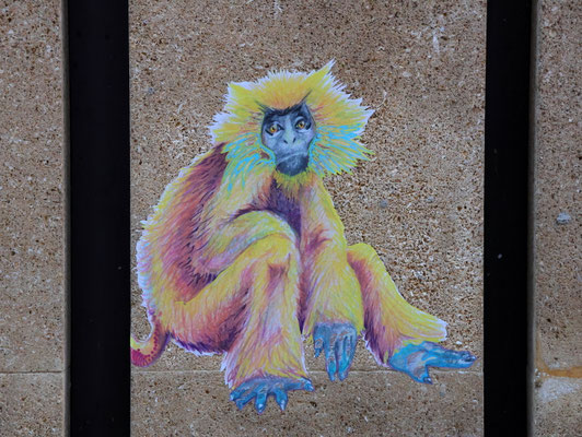 Sehenswürdigkeiten Gap: Street-Art-Werk eines sitzenden Affens an der Wand eines Gebäudes in der Rue Jean Eymar, Gap.