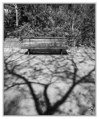 Le banc du parc Cliché de Stéphane