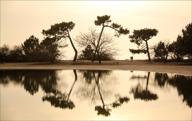  Reflet ambré