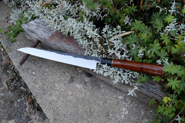#448, sujihiki 135Cr3, corne de buffle & curly gidgee