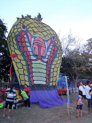 Ein meterhohe Drachen gehört fest zu den Traditionen regionaler Volkfeste