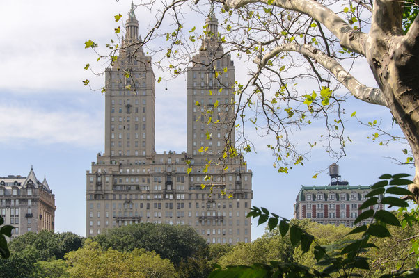 New York am Central Park