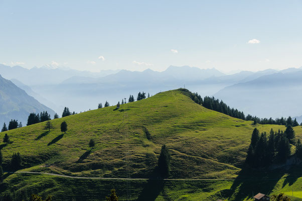 Auf dem Rigi