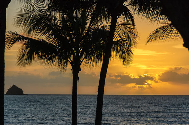 Palm Cove